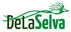 DeLaSelva Logo